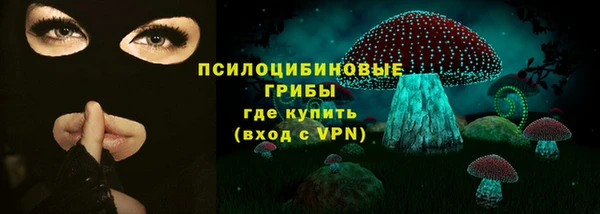 ГАЛЛЮЦИНОГЕННЫЕ ГРИБЫ Алексин