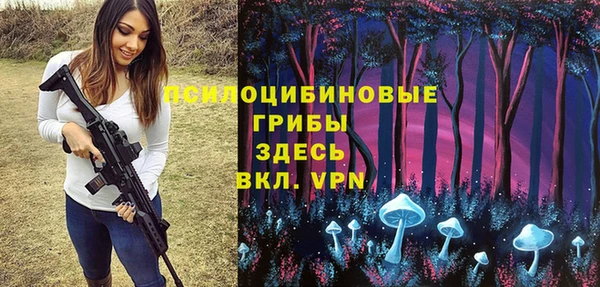 бошки Алзамай